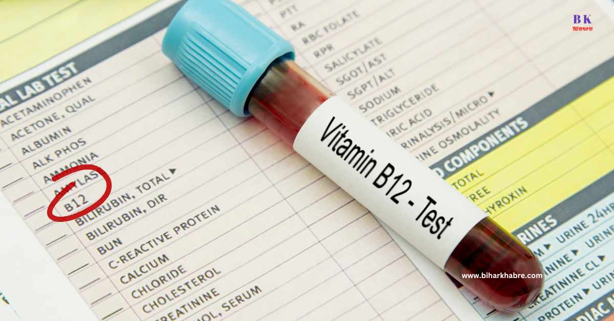 Vitamin B12 Rich Foods in Hindi